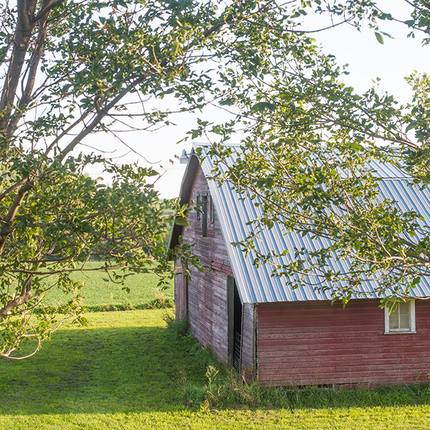 Granary building in field