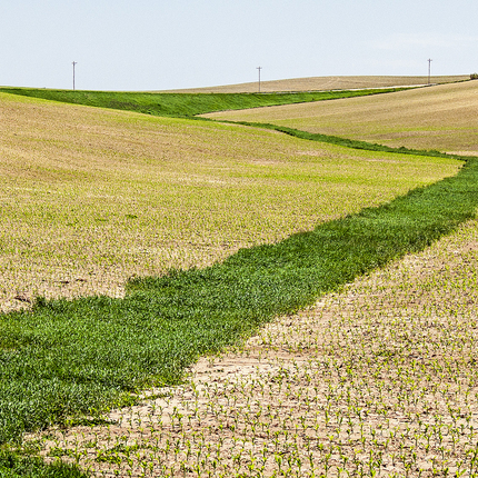 grassed waterway