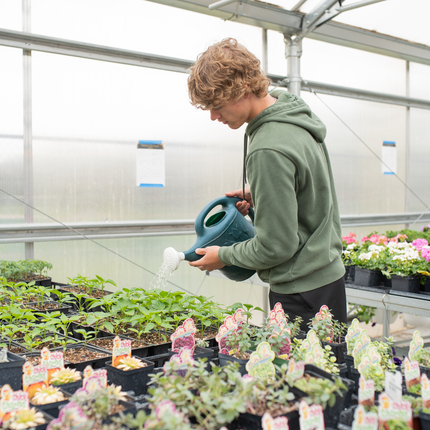 Young man holding a watering can waters plants inside a greenhouse