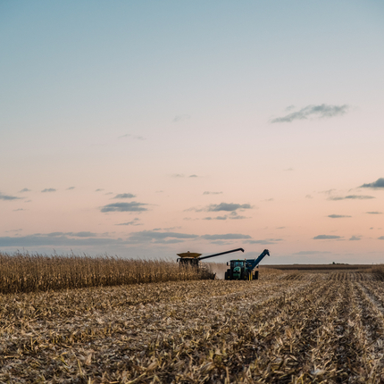 Maquinaria agrícola cosechando un campo de maíz.