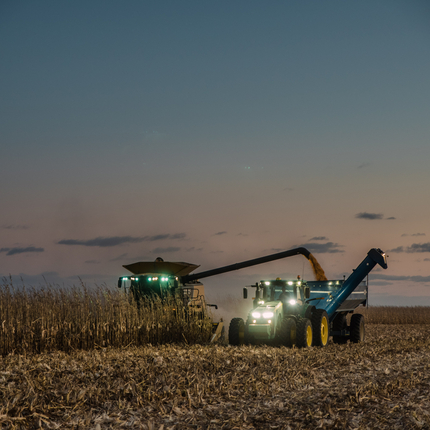 Harvesting corn at dusk