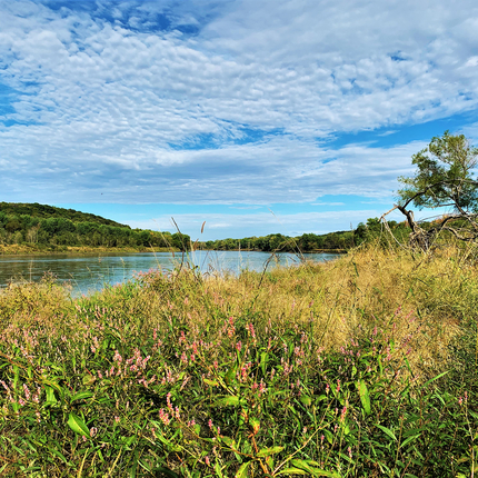 Río Des Moines en Ledges