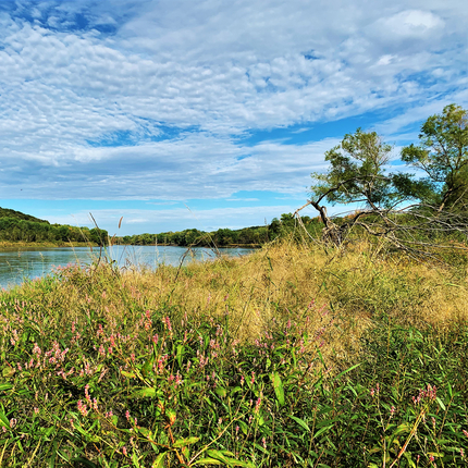 Río Des Moines en Ledges