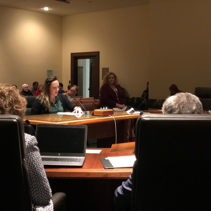 Woman testifying at state legislative hearing