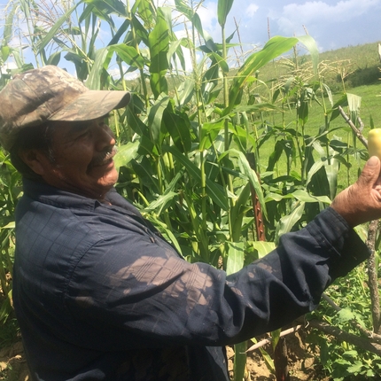 Tomás Delacruz en su jardín