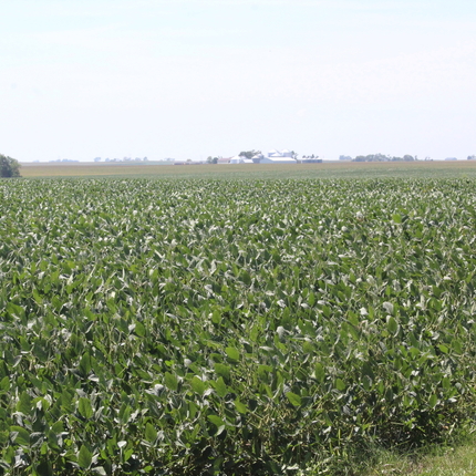 campo de cultivo - conservación 
