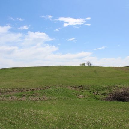 Pasture under a blue sky