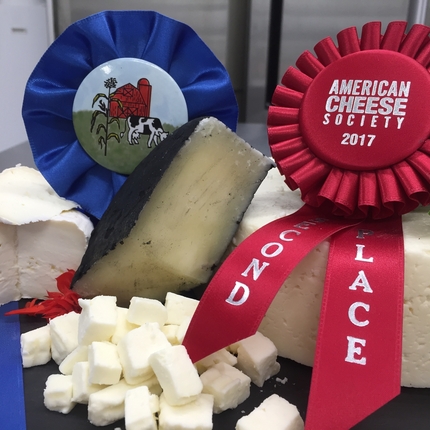 Cheese with award ribbons
