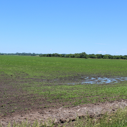 campo inundado