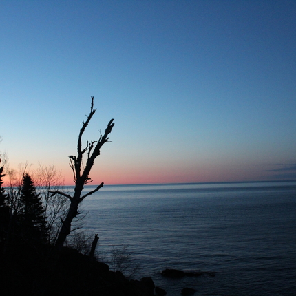 Tree and lake at sunrise