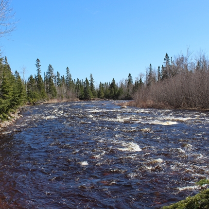 Río con rápidos