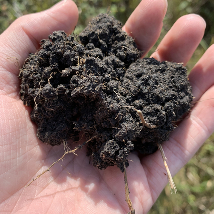 Soil in person's hand