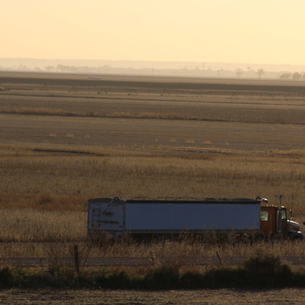 Grain truck during harvest