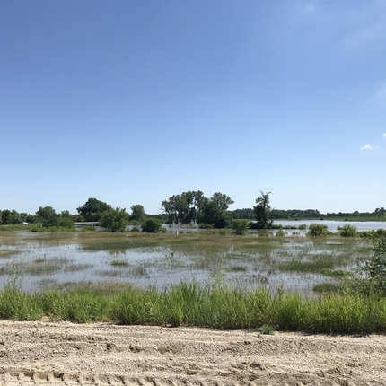 Flooded pasture