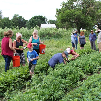 Beginning farmers in vegetable field
