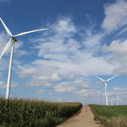 Wind turbines and access road