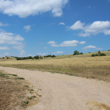 Rural driveway