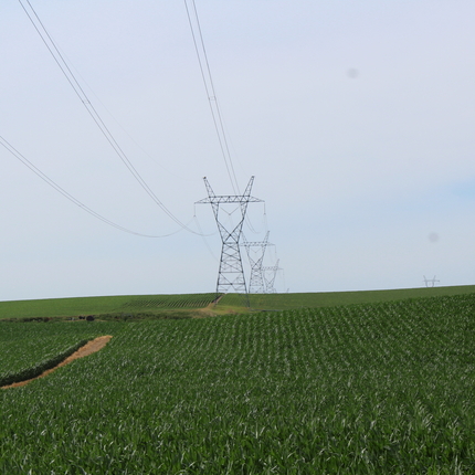 Transmission line in cornfield