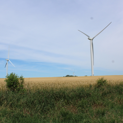 Wind turbines and field