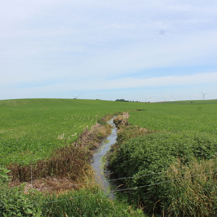 Irrigation ditch