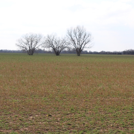 Field with conservation practices