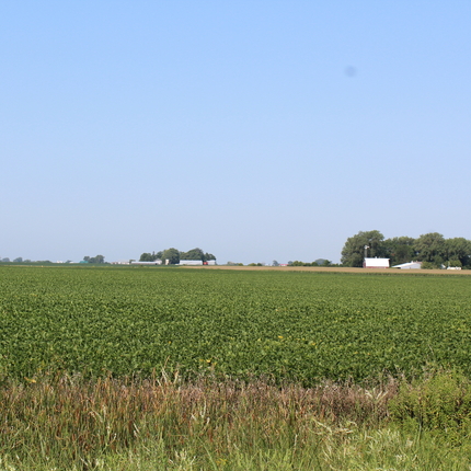 Campo con granjas al fondo