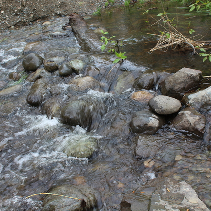 Water in stream