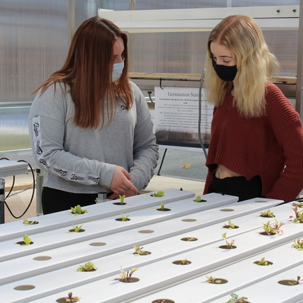 Two girls standing in front of rows of plant sprouts