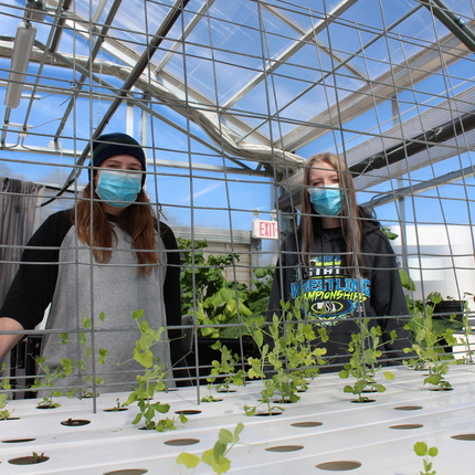 Two female students stand at a growing platform, with fencing for peas to climb. Taken inside of a greenhouse.