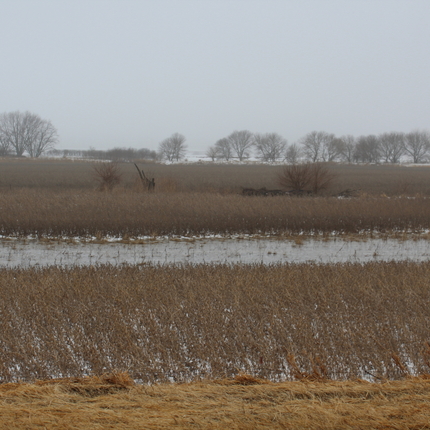 Flooded and snowy field