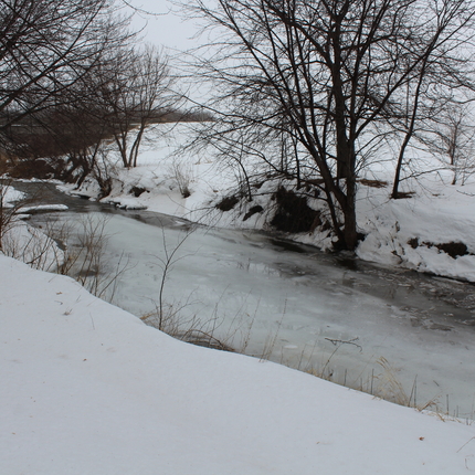 Arroyo en invierno