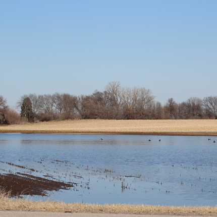 campo inundado