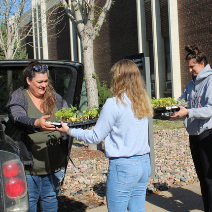 Three college students handing trays of starter tomato plants to a woman