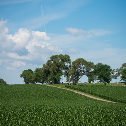 rural scene