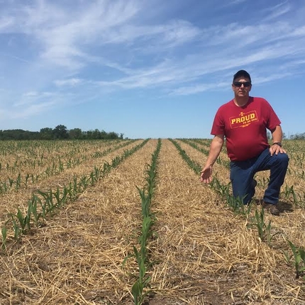 Man in field with cover crops