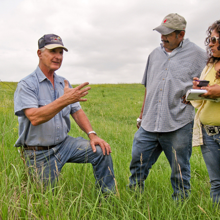 Man on one knee in a grass field, with a man and woman listening to him speak