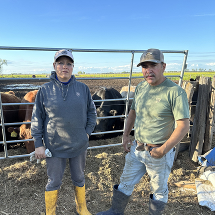 A Latino woman and man standing in front of a cattle gate with cows behind. Both individuals are wearing ballcaps, tall rubber boots, and farm working clothes with dirt.