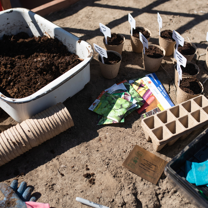Bucket of soil surrounded by paper cups and dishes for planting spread out on dirt floor