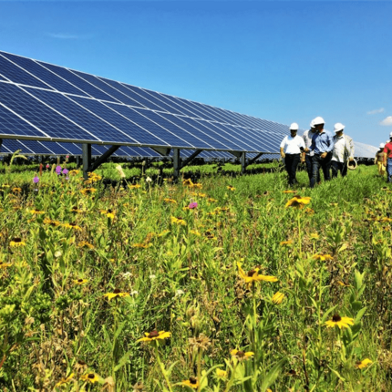 Gente caminando junto a grandes paneles solares