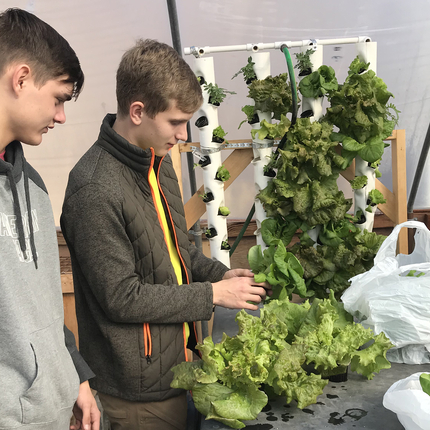 Two male high school students with lettuce on a grow tower