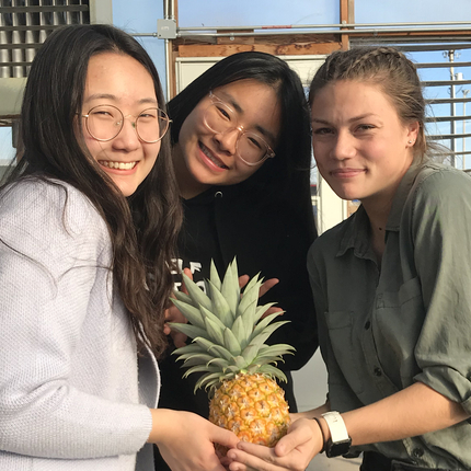 Three female high school students holding a pineapple