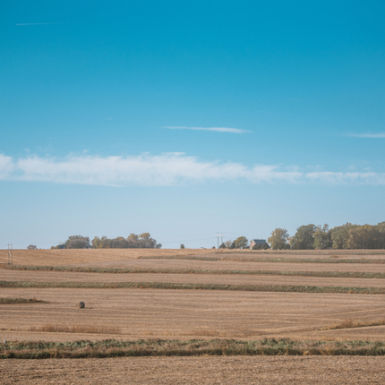 Campo después de la cosecha