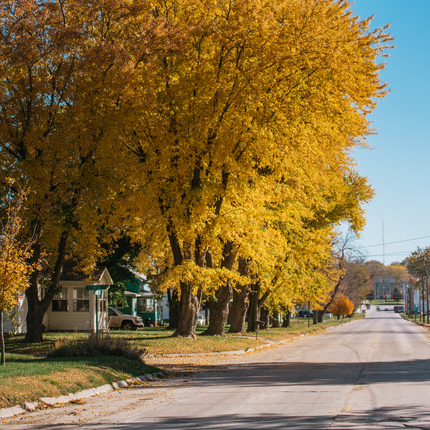 Rural community