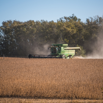 combine harvesting