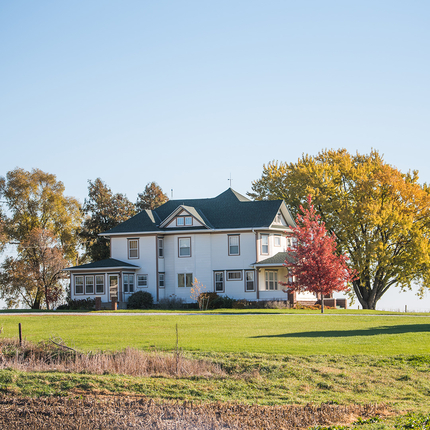 house surrounded by trees