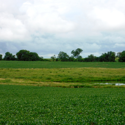 Campo con agua