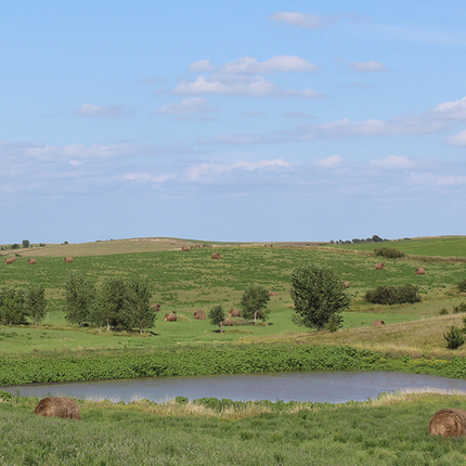 Pasture with pond