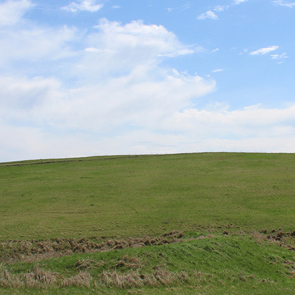 Pasture 