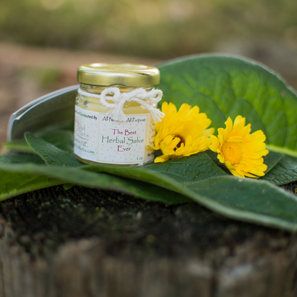 Herbal salve on leaves