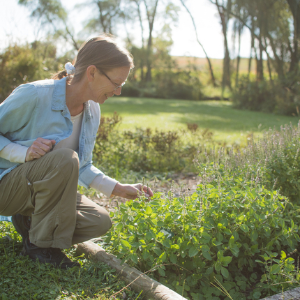 Mujer con plantas